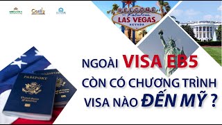 NGOÀI VISA EB-5, CÒN CÓ CHƯƠNG TRÌNH VISA NÀO ĐỂ ĐẾN MỸ