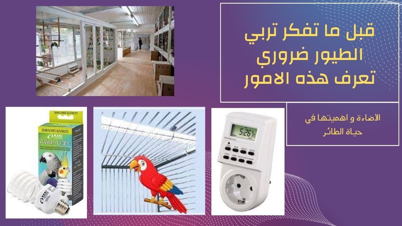 الإضاءة الإصطناعية و الطبيعية الفرق بينها و أهميتها في إنتاج الحسون