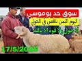 مباشرة من سوق حد بوموسى إقليم الفقيه بن صالح الخروف والحولي والحولية عيد الأضحى تاريخ 17 5 2026 