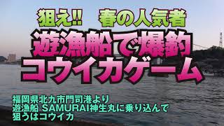 初心者でもカンタン！　春の遊漁船コウイカゲーム