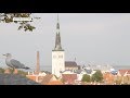 Уся правда про життя в Естонії | Ранок з Україною