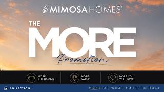 The MORE Promotion
