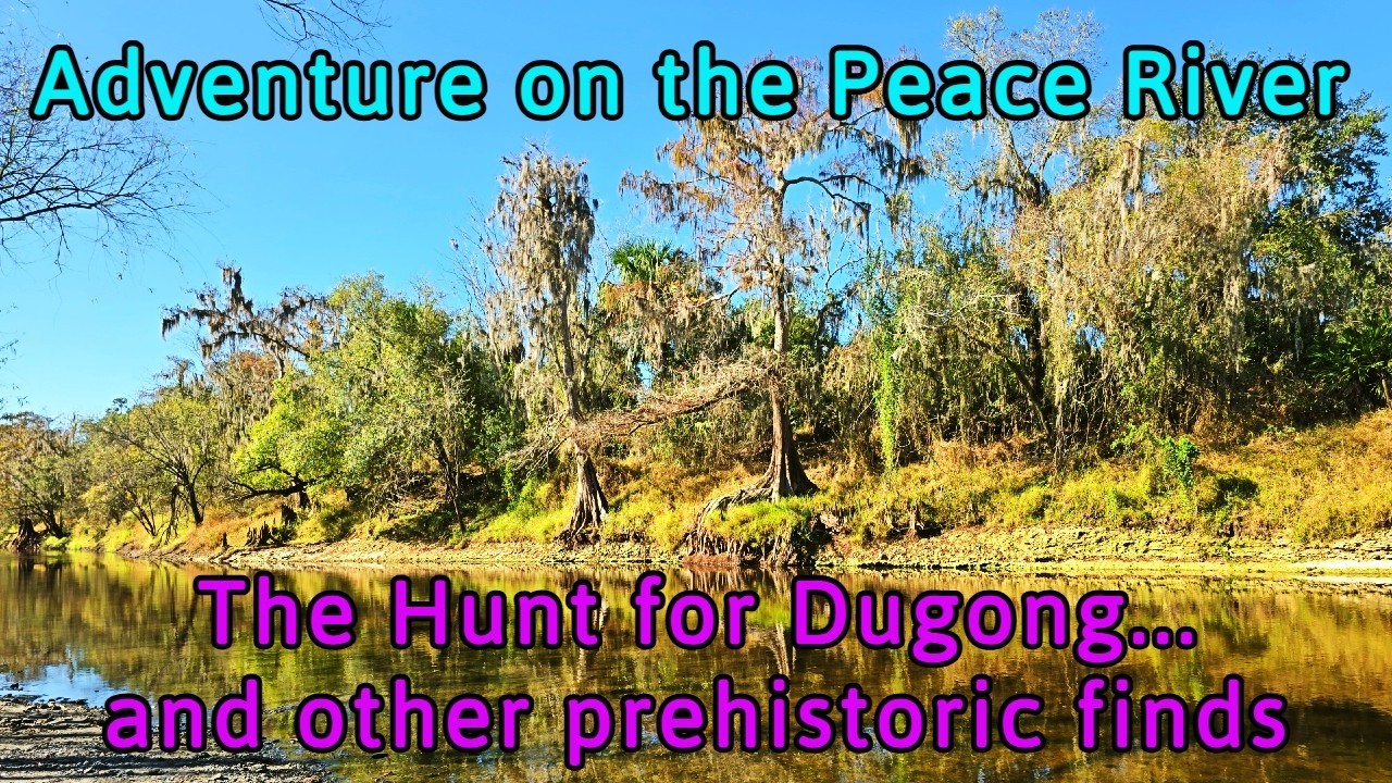 Adventure on the Peace River - The Hunt for Dugong...and Other Prehistoric Fossils