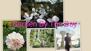Pertama Kali View Garden By The Bay || FLOWER DOME & CLOWD FOREST #singapore_GardenByTheBay
