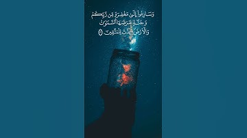 تلاوة هادئة تريح النفس ماشاء الله القرآن الكريم سورة آل عمران