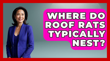 Where Do Roof Rats Typically Nest? - Insects and Invaders