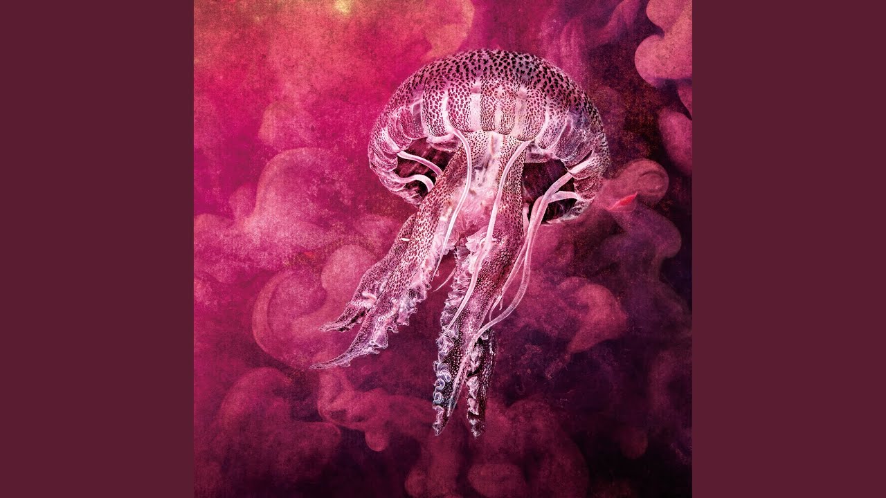 A land switched by a witch