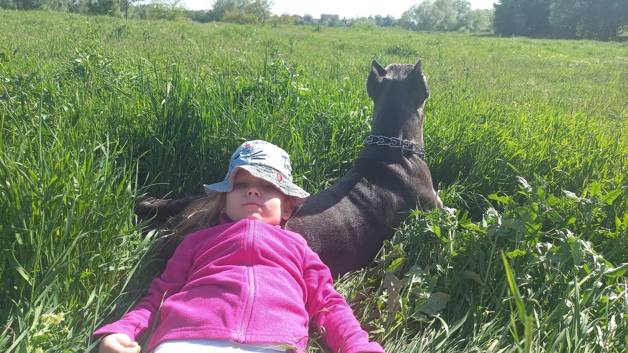 Я на солнышке лежу...... - YouTube