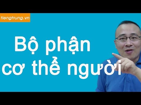 từ vựng tiếng trung, Trung tâm tiếng Trung uy tín từ vựng các bộ phận cơ thể người