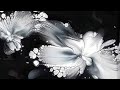 (338) ONLY 2 colours 🌼- Look at this AMAZING PEARL FLOWERS - Balloon dip - Fluid art