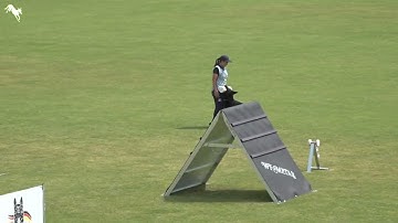 Onyx-vom-Ruffhaus 2025-WUSV-Universal-Sieger ---IGP-World-Cup---B 2