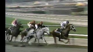 1987 Santa Anita Derby