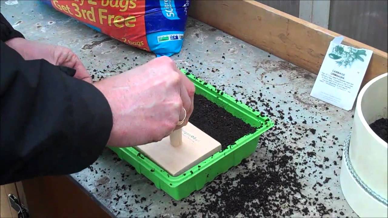Seed Sowing Essentials - Square Tamper