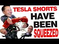 Tesla Shorts Have Been Squeezed | In Depth
