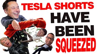 Tesla Shorts Have Been Squeezed | In Depth