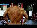 7 BACK EXERCISES THAT BUILD A BIG BACK! (STEAL THESE!)