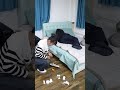 #搞笑#東北#生活#劇情#故事#日常#真實#shorts