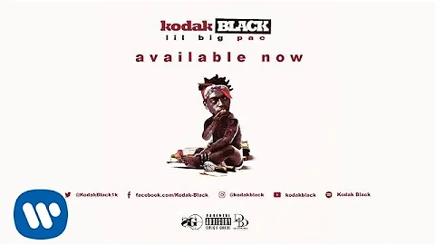 Kodak Black - Blood Sweat Tears Revenge (Official Audio)