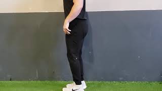 Backward Lunge to Pogo Jumps