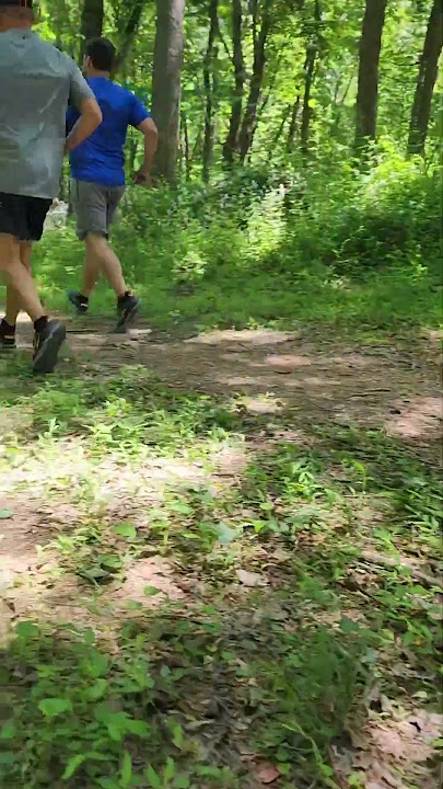 Altra Superior 6