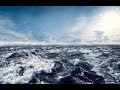 Ladies Fellowship - Calm In The Storm