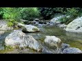 Pure Forest Waterfall & Stream Ambience – Real Sounds