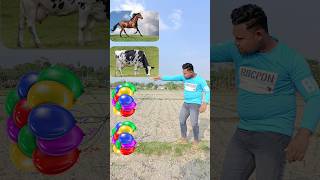 21 December 2023 Balloon to horse,, cow,, tiger & dog - magical vfx video trending