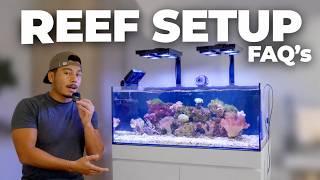 My Reef Tank Setup Explained | Answering Your FAQs