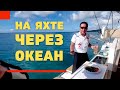На яхте через океан. Oleg Nakarikov