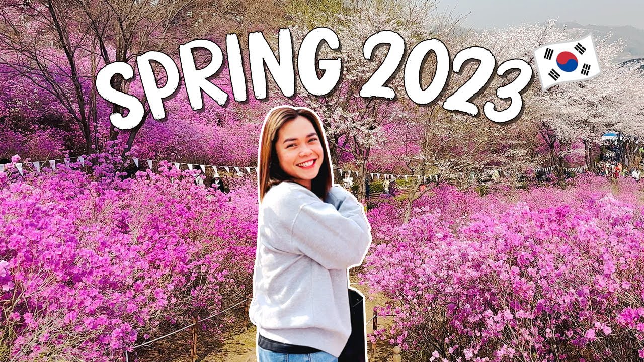 Vlog The Wonmisan Azalea Garden YouTube vlog-the-wonmisan-azalea-garden-youtube