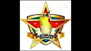 Download Lagu Masteran pleci nembak kenarian 2021!!! MP3