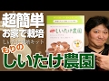 お家でしいたけ栽培！超簡単の栽培キット「もりのしいたけ農園」