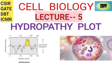 CELL BIOLOGY-- HYDROPATHY PLOT || CSIR NET || GATE || DBT|| ICMR