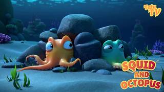 🎵 Squid and Octopus | Animals Songs For Toddlers & Kids | Education Show For Children 🎵