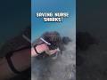 Saving Nurse Sharks From Fishermen! 🎣 #shorts thumbnail