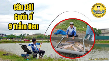 Câu Đài | Cuốn Ổ Trắm Đen ở Hồ Câu Thi Thố - Sóc Sơn