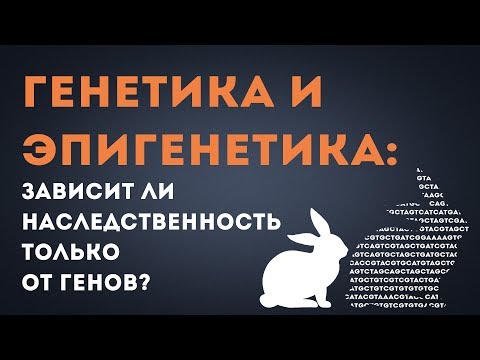 Бейне: Нутригеномика ұғымы қандай?