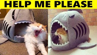 15 Overdramatic Animals Who Deserve An Oscar Profile