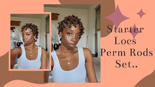 How to curl short starter locs I Perm Rods I ESSENCEOFSHAY #tigerlileesquad #permrods,