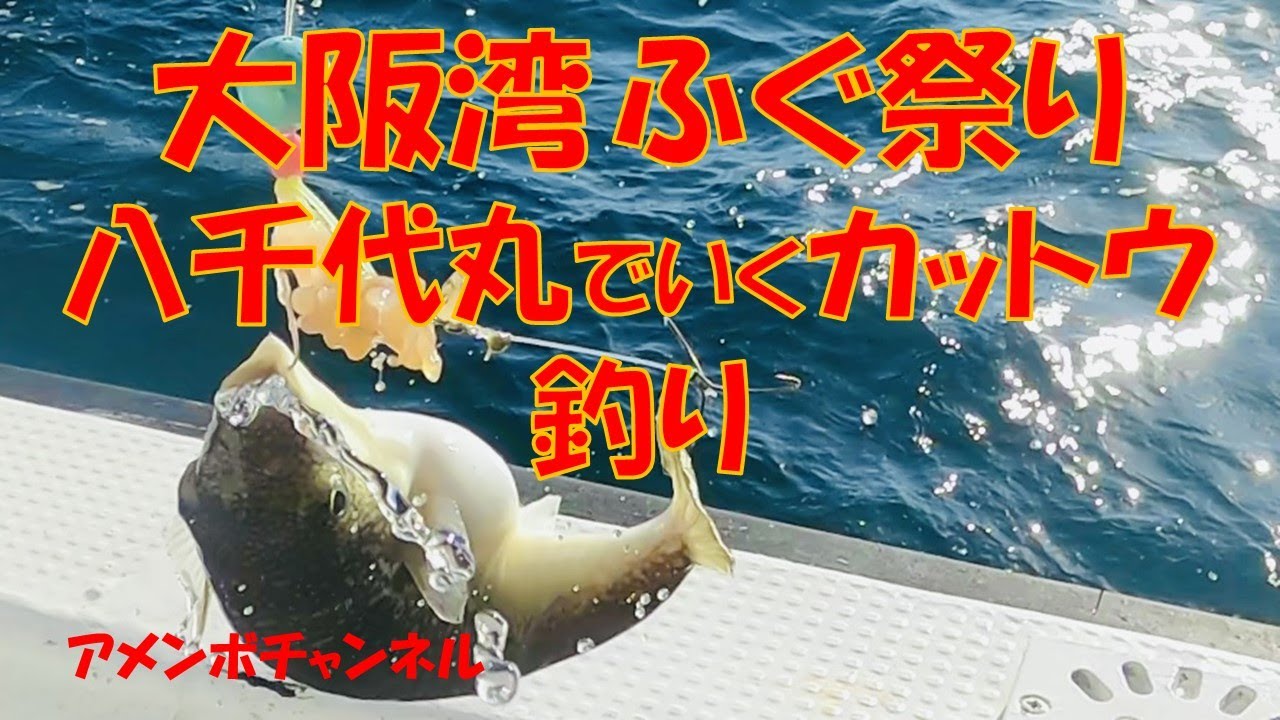 大阪湾ふぐ祭り カットウフグ釣り 八千代丸 アメンボチャンネル