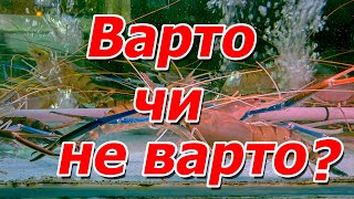 Підтримаєте мене чи не варто ? Чекаю коментарі від Вас !