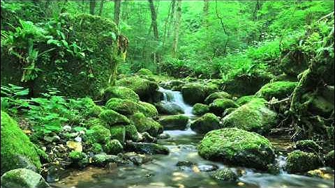 تلاوة رائعه بصوت محمد السبيل رحمه الله