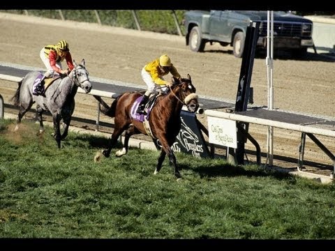 Lure Racing 1993 Breeders' Cup Mile - Lure + Post Race - YouTube
