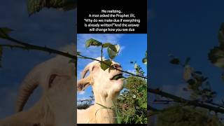 Why do we make dua if everything is already written?