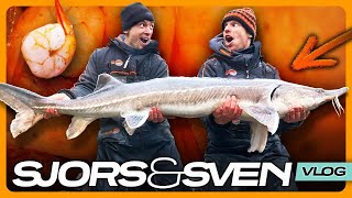 Monster Steuren Challenge | Sjors & Sven Vlog