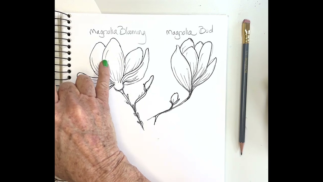 Beginner-Friendly Magnolia Sketch🌟 Get Ready to Paint in watercolor - PART 1