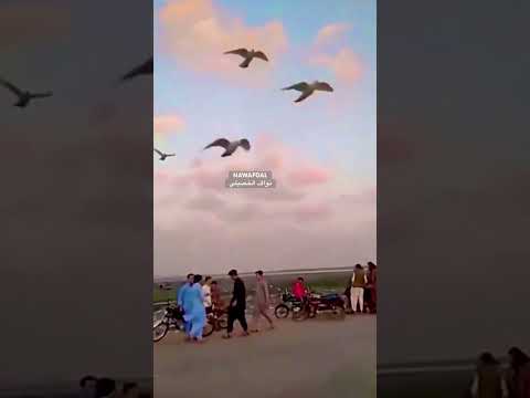 حمام لوت تعليم الحمام