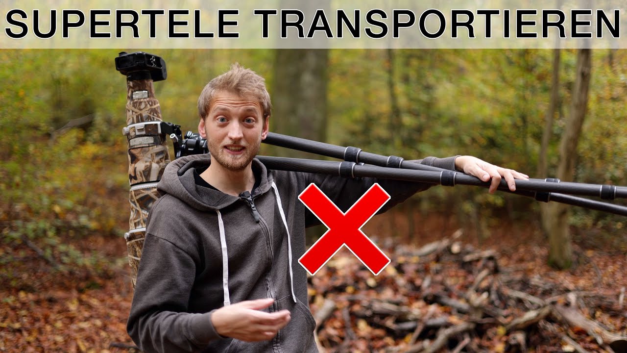 600mm Supertele im Feld transportieren: Gibt es die perfekte Lösung? Equipment Review