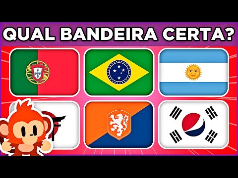 Qual a bandeira certa? #quiz #bandeiras #quizbandeiras #fy #fyp