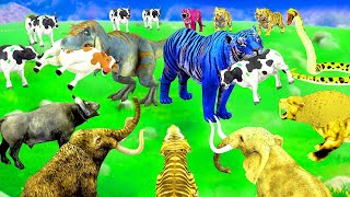 Giant Zombe Tiger  vs 3 Zombie Dinosaur Attack Buffalo Baby Cow Saved by Woolly Mammoth Elephant